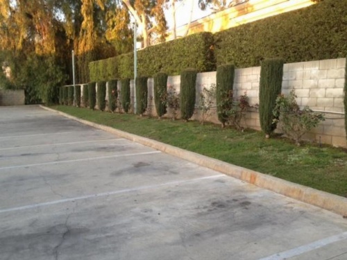 All 8 Motel image 18